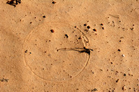 Sand Circle