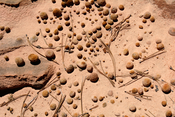 Zion Pebbles